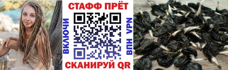 Что такое Лесозаводск A-PVP  МЕФ  Кокаин  ГАШИШ  МАРИХУАНА 