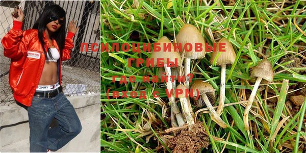 мяу мяу мука Балабаново