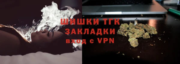 гидра Балахна