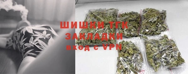 гидра Балахна